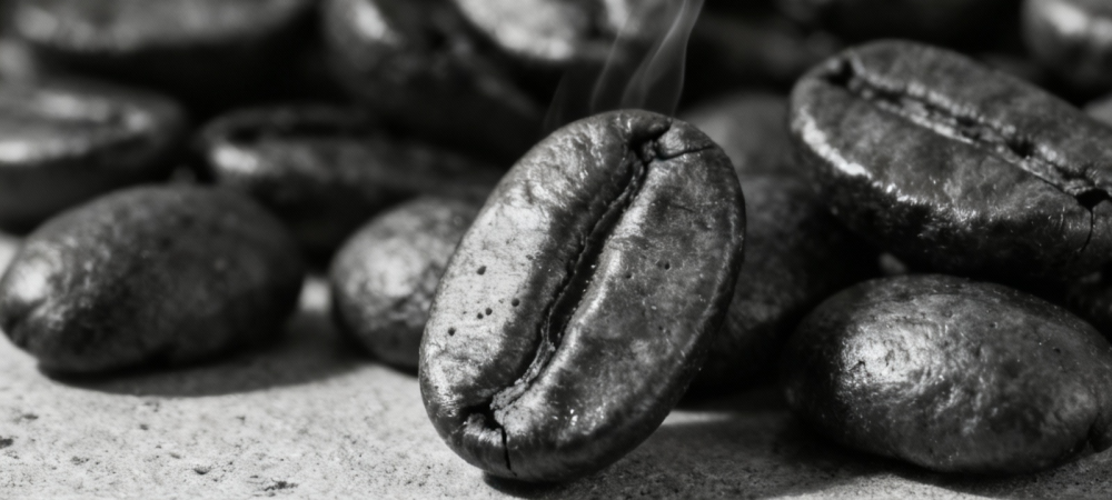 Close-up of roasted Arabica coffee beans in black and white